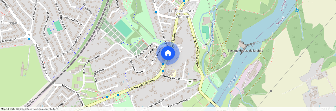 Le Palais-sur-Vienne (87410)