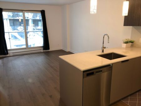 101 Rue Peel, Montréal (Le Sud-Ouest), QC H3C - Photo 3