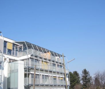 Topzustand wie Erstbezug - Ideale Neubauwohnung mit Freifläche - Photo 6