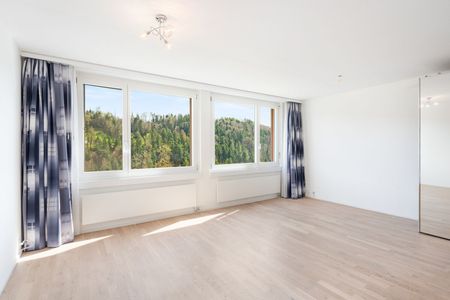 APPARTEMENT DE 3 PIÈCES À ADLIGENSWIL (LU), MEUBLÉ, TEMPORAIRE - Foto 4