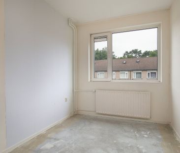 Zeisteroever, 50, Zeist - Photo 6