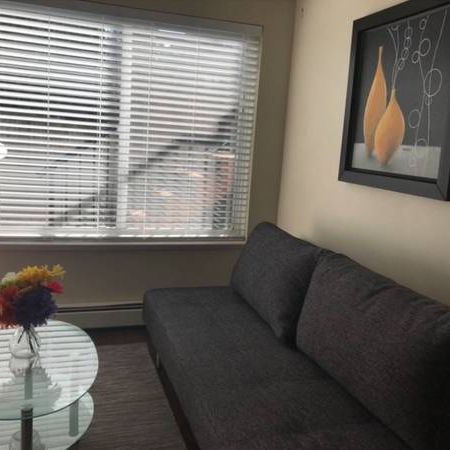 Fully Furnished 2-bedroom Basement Suite - Photo 4