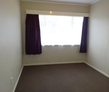 Williams Street , Mahora - Photo 2