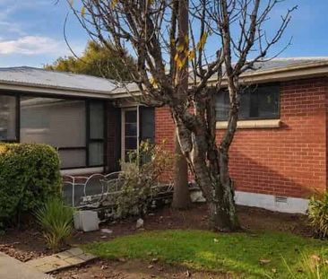 UPPER RICCARTON - 2 BEDROOM, 1 BATHROOM, HEATPUMP - Photo 4