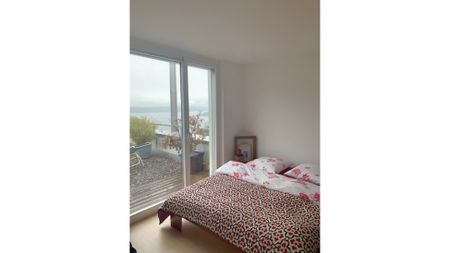 3 Zimmer-Attikawohnung in Twann (BE), möbliert, auf Zeit - Foto 4