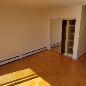 Large Bright Pet Friendly Studio available Dec. 15th - Photo 3