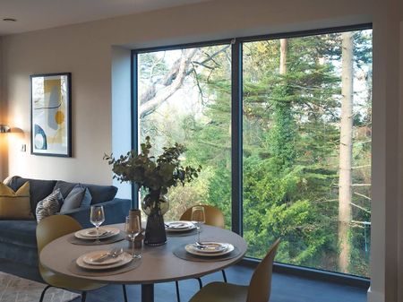 Scholarstown Wood - Photo 4