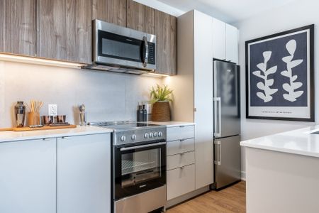 Condo for rent, Montréal (Ville-Marie) - Photo 4