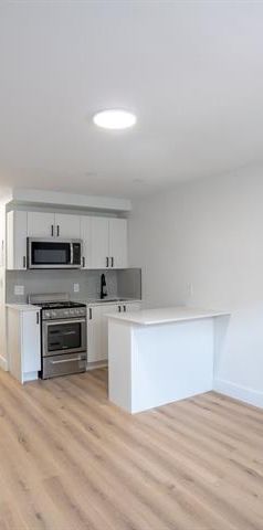 3915 Rue Masson - Photo 1