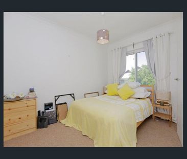 Available on April 16! - Photo 5