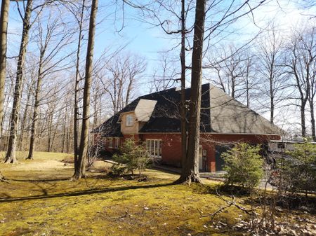 For Lease - 36 Country Heights Drive, Richmond Hill, Ontario - Photo 4