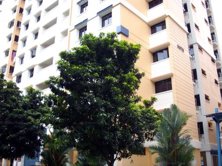 Blk 667D Jurong West Street 65 (Jurong West), HDB 4 Rooms - For Rent - Photo 3