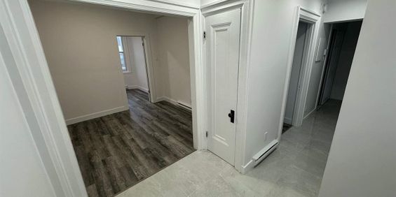 1 CH - 1 SDB - Montréal - $1,650 /mo - Photo 3