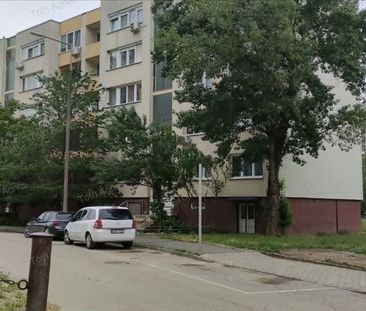 Kiadó jó állapotú panel lakás - Szolnok - Photo 6