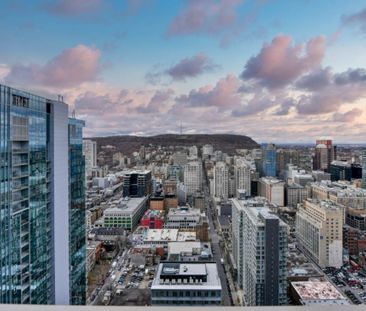 Nouveauté sur le marché Appartement à louer - Montréal (Ville-Marie... - Photo 6