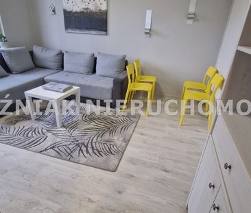 Wałbrzych, Piaskowa Góra Mieszkanie na wynajem - Photo 3