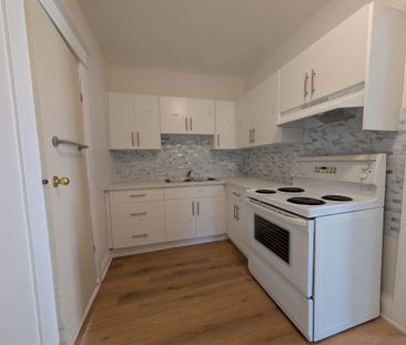 Newly Renovated 2-Bedroom Unit with Sun Room in Welland! - Photo 5