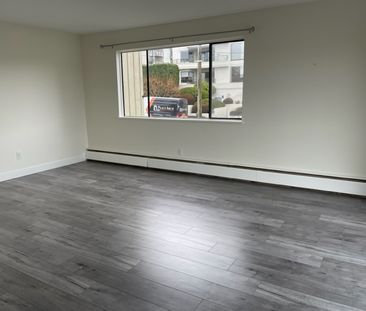 Newer Renovation 1 Bedroom Apartment - Photo 2