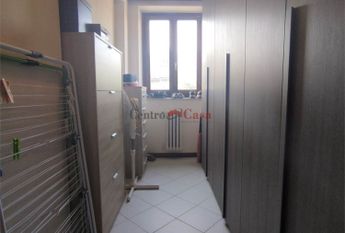 Grazioso tricolare in contesto di corte.