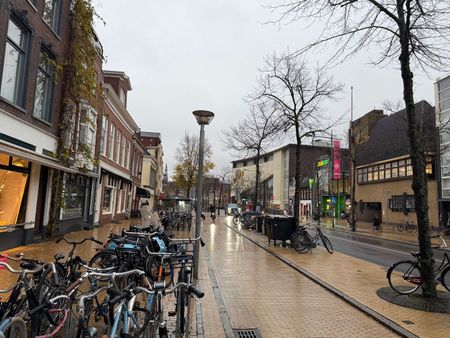 Appartement te huur: Gedempte Zuiderdiep 95-C 9711 HD Groningen - Foto 4