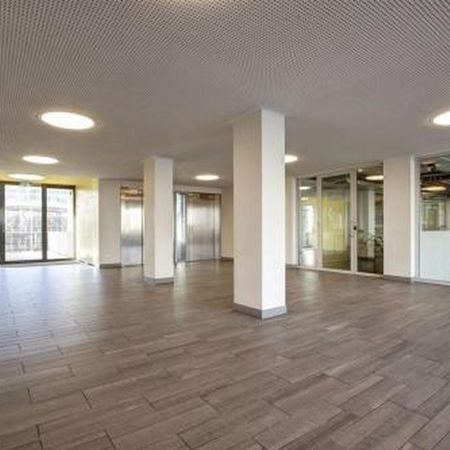 Bos en Lommerplantsoen 1055 Amsterdam - Foto 3