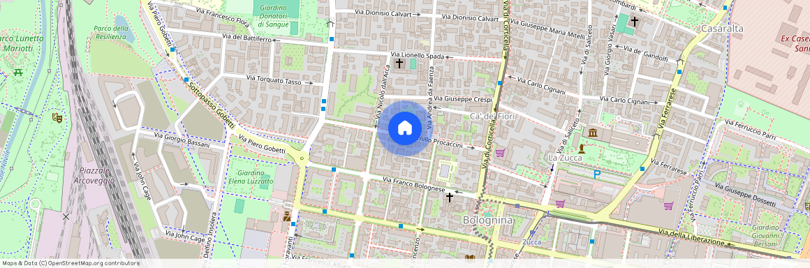 Via Camillo Procaccini, Bologna, Emilia-Romagna 40129