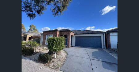 Newly Renovated House in Truganina - Photo 2