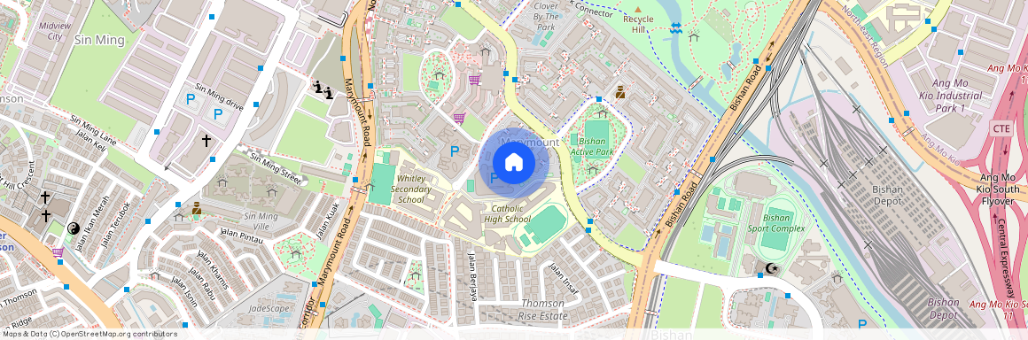 291 Bishan Street 24 (570291), Singapore