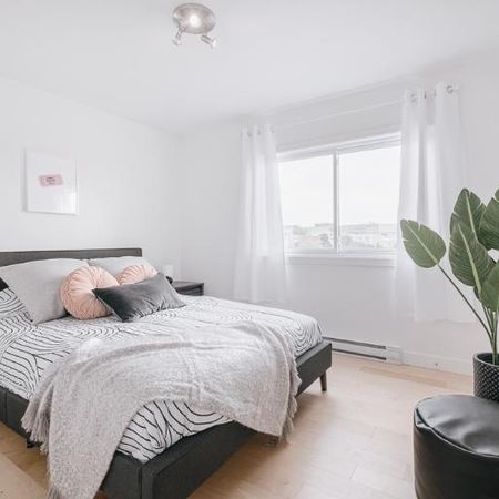 Appartement 4 ½ à louer Sainte-Foy / Sillery juillet 2026 - Photo 4