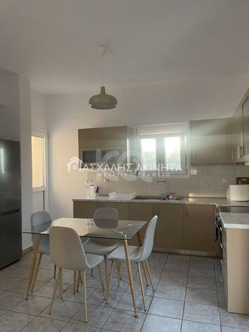 ΑΓΙΑ ΠΑΡΑΣΚΕΥΗ ΚΑΣΤΕΛΛΙΟΥ ΜΟΝΟΚΑΤΟΙΚΙΑ ΕΝΟΙΚΙΑΣΕΙΣ 18737 - Photo 5