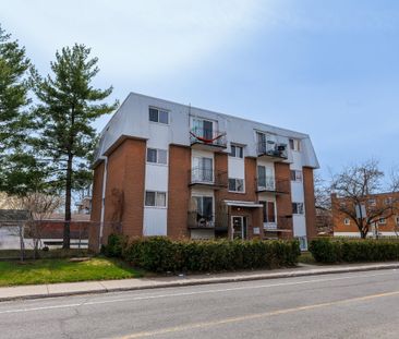À louer / Appartement - Photo 1