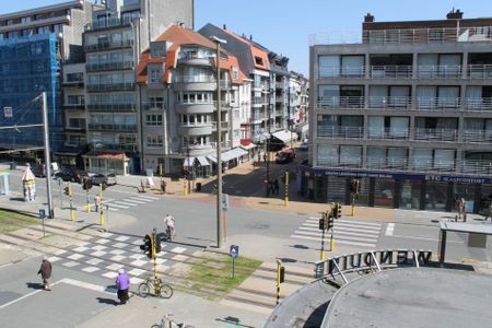 Ruim appartement met zonnig terras - Photo 4