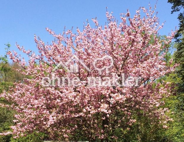 = OHNE MAKLER = AB SOFORT FREI - ruhige und möblierte WG-Zimmer = furnished rooms = - Foto 1