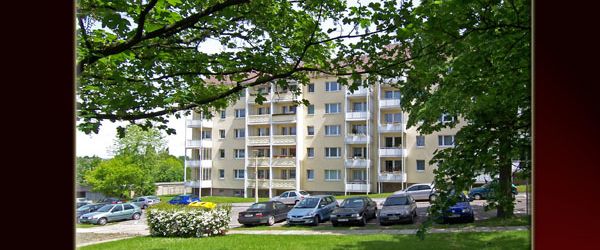 Sonnenbalkon… Laminat… Tageslichtbad – ID 297 - Photo 1