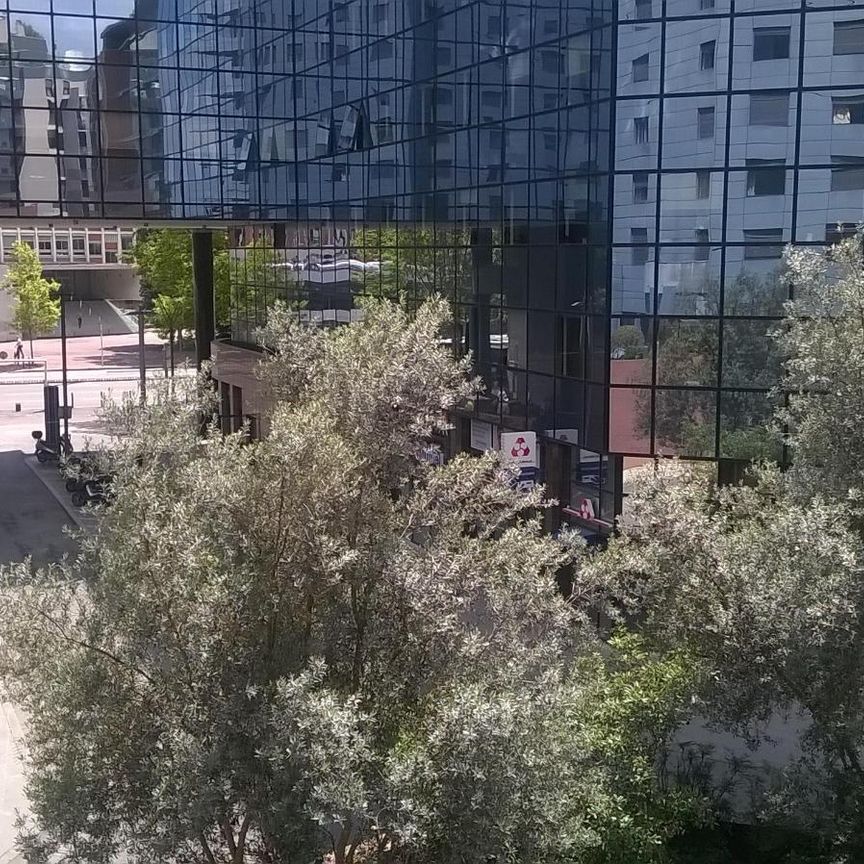 Location Appartement 1 pièce 21m² TOULOUSE 31000 - Photo 1