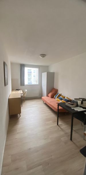 Location Appartement 1 pièce 18m² LILLE 59000 - Photo 1