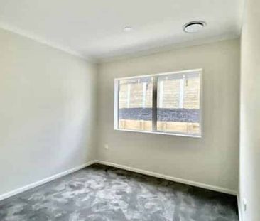 Granny Flat in Flat Bush - Photo 5