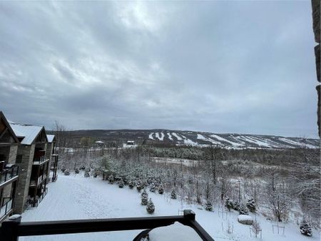 For Lease - 20 Beckwith Lane Unit# 407, Blue Mountains, Ontario - Photo 4