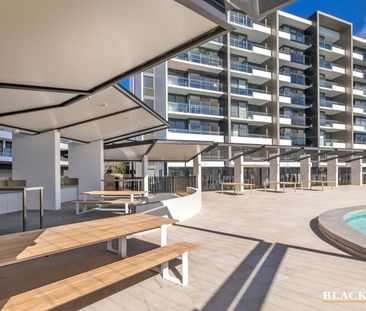 226/7 Irving Street, Phillip ACT 2606 - Apartment For Rent | Domain - Photo 3