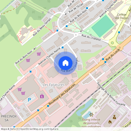 Rue Blaise-Cendrars 10, 2300 La Chaux-de-Fonds