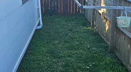 Charming 3BR Home in Tranquil Tuakau - Photo 3