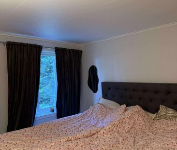 Mollaryd Dragås, Ljung - Foto 4