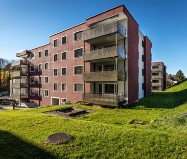 "Bachwis - Natürlich mehr vom Leben" - Photo 5