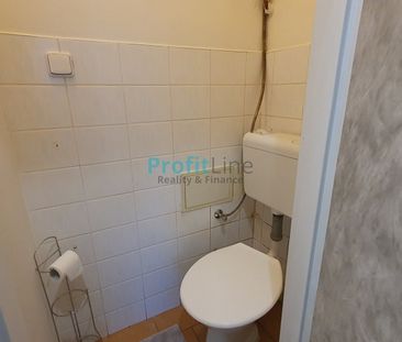 Pronájem bytu 1+1 40 m² - Fotografie 5