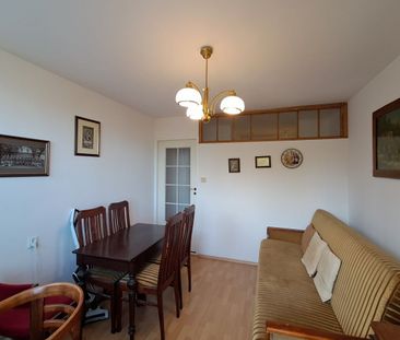 Przytulne mieszkanie z meblami w stylu vintage 36.32 m² - Zdjęcie 4