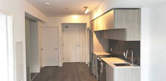 Dundas St E & Jarvis St Beautiful 1Bdrm +Den As 2nd Bdrm Open Kitchen - Photo 2