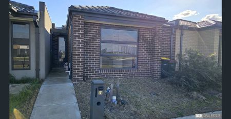 Love Where You Live - Modern Comfort Awaits! - Photo 4