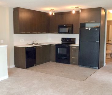 Well Laid Out 2 Bedroom Apartment In Chestermere - Photo 5
