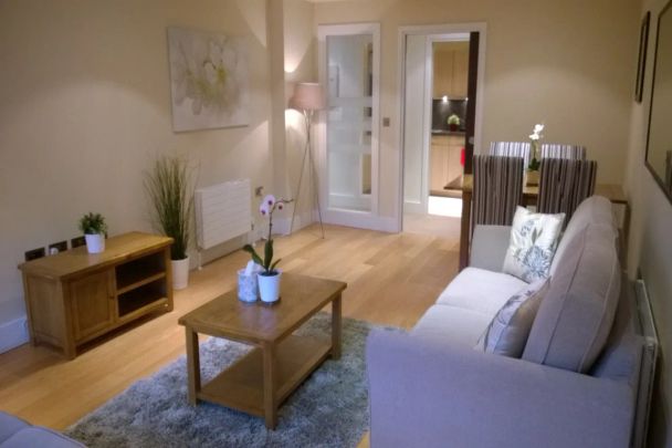 16 Custom House Residence, 2 Ulster Street - Photo 1