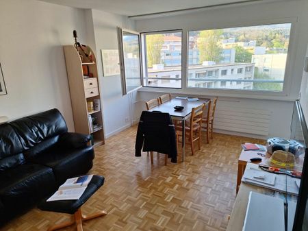 Appartement de 2 pièces au 9ème étage avec vue - Photo 3